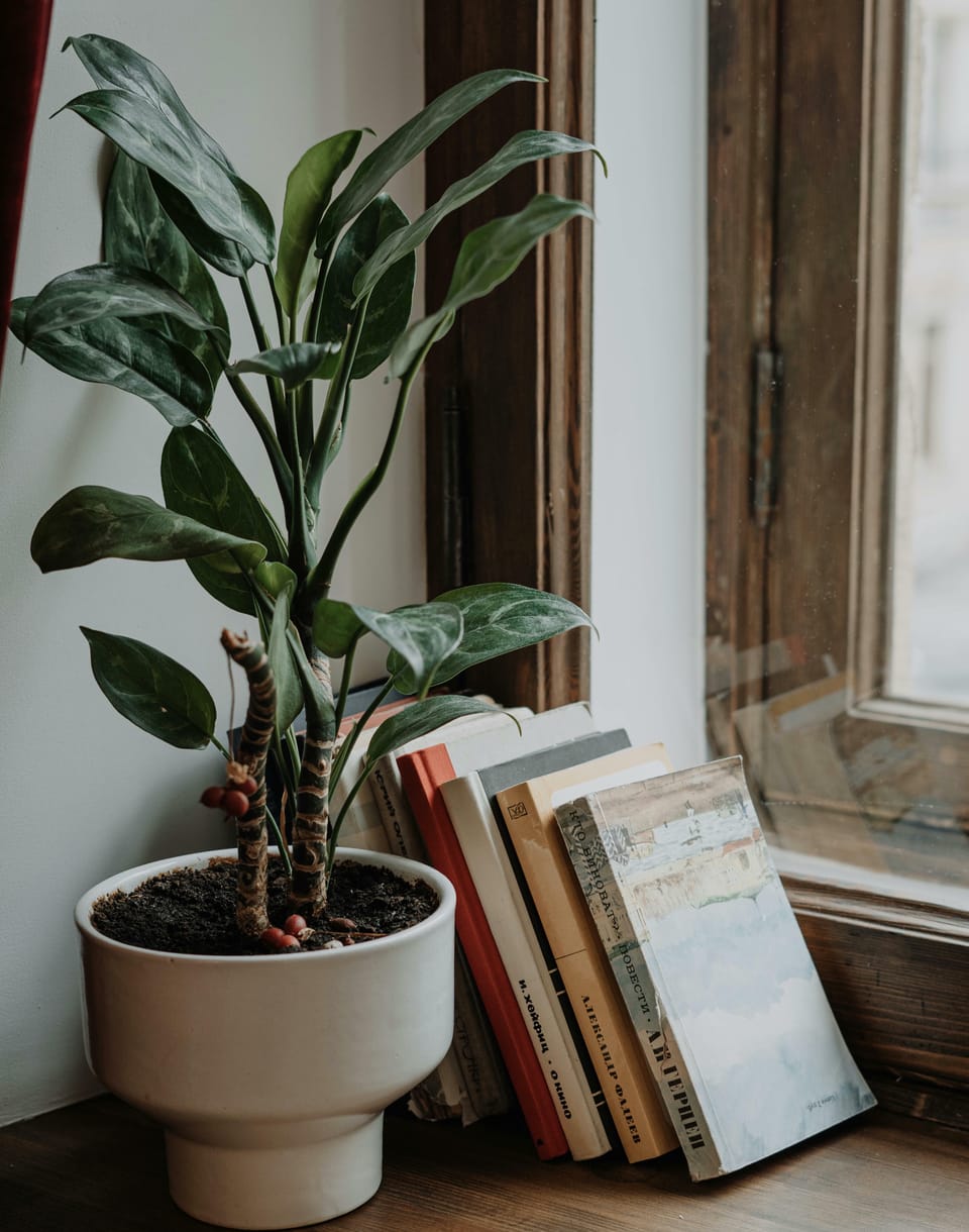The Myth of a Universal Life-Changing Book